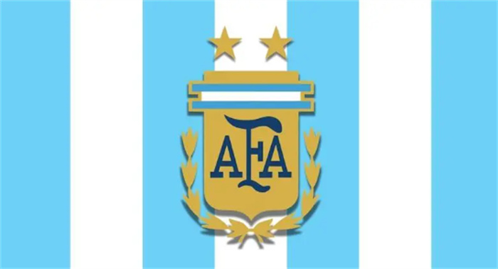 阿根廷队标（个特别大的盾牌）