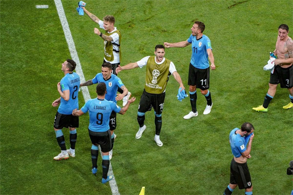018年世界杯乌拉圭排名（第五）"