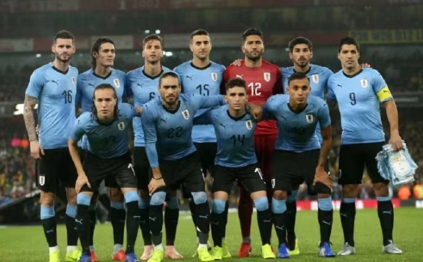 乌拉圭国家队球星（爱丁森卡瓦尼等）