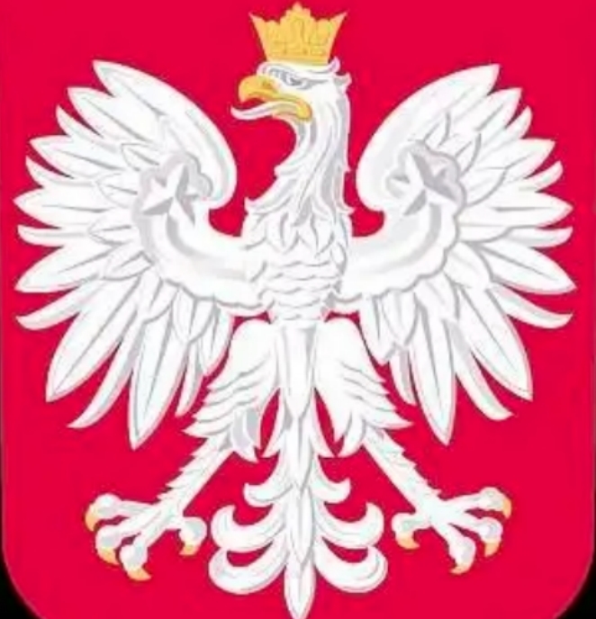 波兰国家队队徽（图案是白鹰戴皇冠）