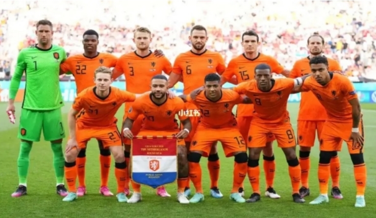 荷兰国家队队徽（盾牌中间是狮子）
