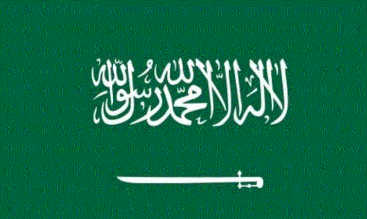 沙特国家队球衣（白色为底色）