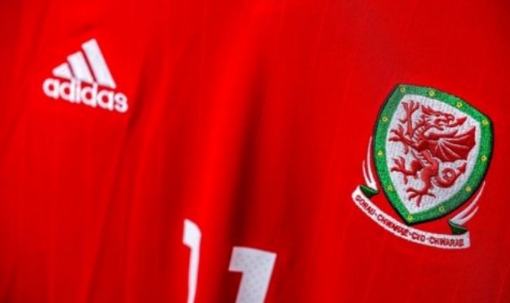 威尔士国家队队徽（一条红龙）