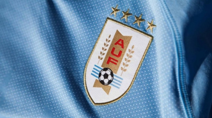 乌拉圭国家队为什么四颗星（４次冠军）