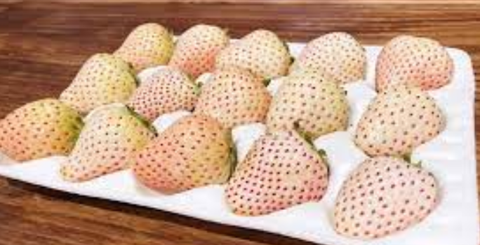 白草莓哪个品种的好吃 白草莓甜吗