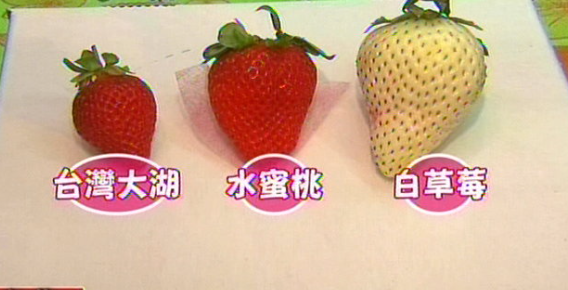 白草莓产地在哪里 白草莓是哪个国家的_全球讯息
