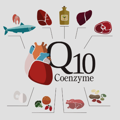 辅酶q10是药物还是保健品 辅酶q10是维生素吗 环球快播报