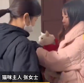 女子带猫回家过年猫收到千元红包 过年红包都是什么时候给-环球热点评