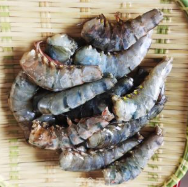全球快消息！黑虎虾怎么做好吃 黑虎虾可以做油焖大虾吗