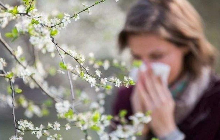 花粉过敏引起的鼻炎吃什么药