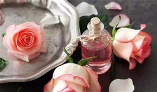 苏采国际玫瑰精油怎么做？快速补水开启美丽肌肤传奇