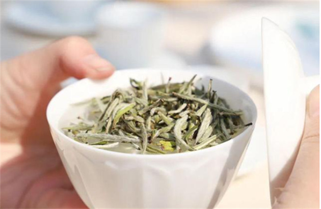 如何像茶艺师一样，泡出好喝的白茶？