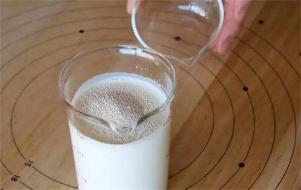 怎么做钙奶