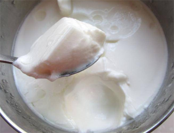 怎么做钙奶