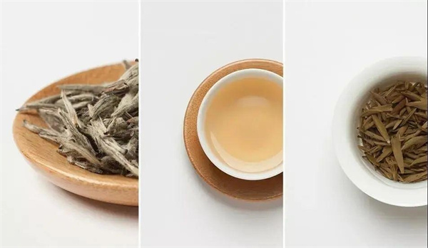 问茶 ，算算你的白茶能叫“老”吗？