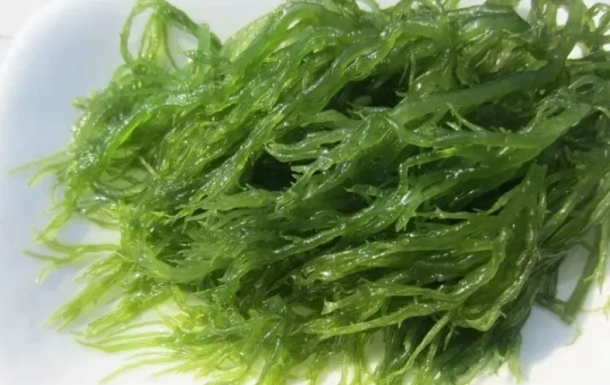 海藻的功效与作用吃海藻对女人有何好处