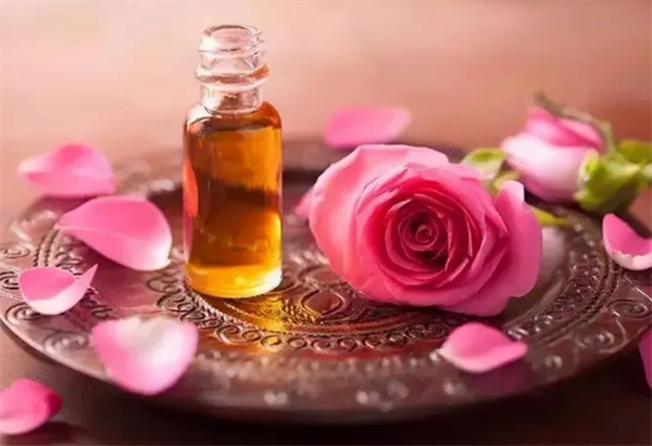 玫瑰精油的功效与作用 精油的作用和功效  -  天奇生活