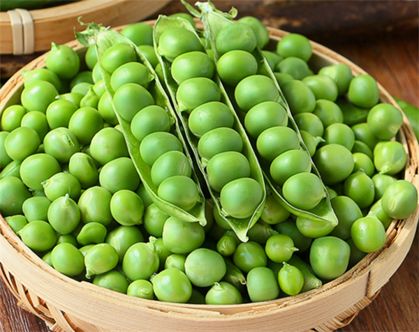 豌豆的功效与作用 吃豌豆有什么好处 