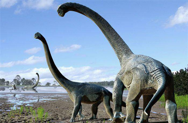 恐龙可能有领地意识吗为什么