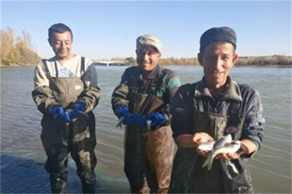 几乎遍地沙漠的新疆为什么是渔业大省 鱼从何来