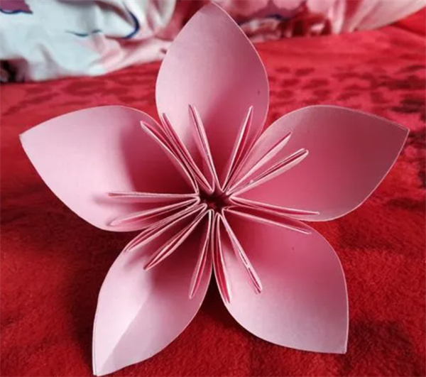 樱花的制作方法 纸樱花的简单做法步骤
