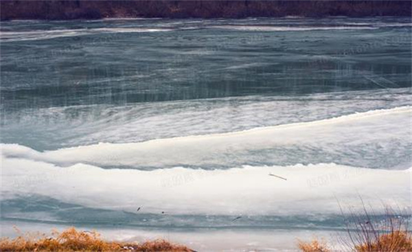 冬天河面被冰封后 河里的鱼会不会窒息而死 为什么