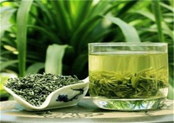 绿茶可以去湿气吗  绿茶的功效和作用