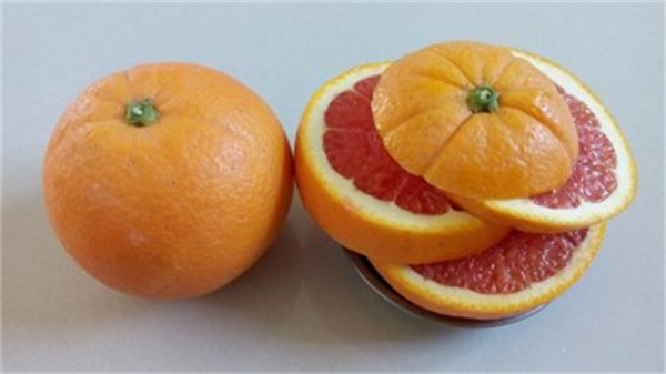 橙子有几种品种 橙子有籽么
