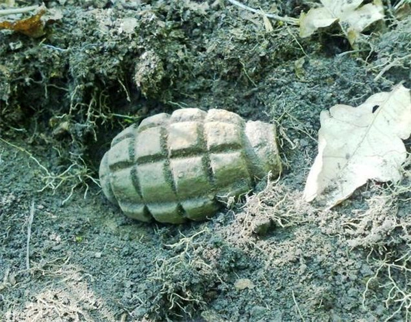 坚硬的龟壳能否挡住子弹的射击为什么