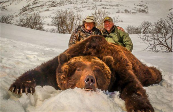 普通人拿着手枪有无数子弹能否打死一头成年棕熊  为什么