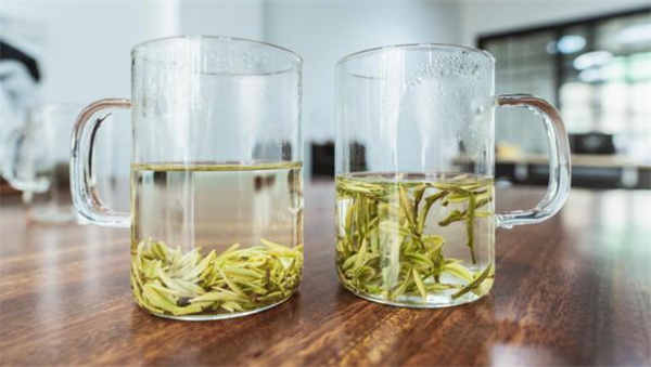 你知道用纸杯泡茶会降低茶叶的营养价值吗