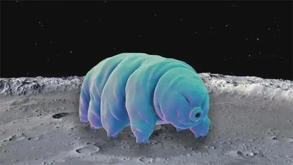 水熊虫真的可以在月球上生存吗