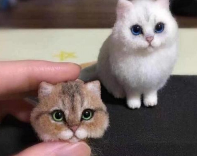逗逼的猫羊毛毡图片 手工制作丑萌猫作品