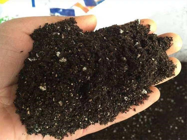 将尿液长期浇在土里 会变成适合植物生长的营养土吗