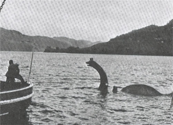 977年日本打捞上来的“海怪”真的是蛇颈龙吗