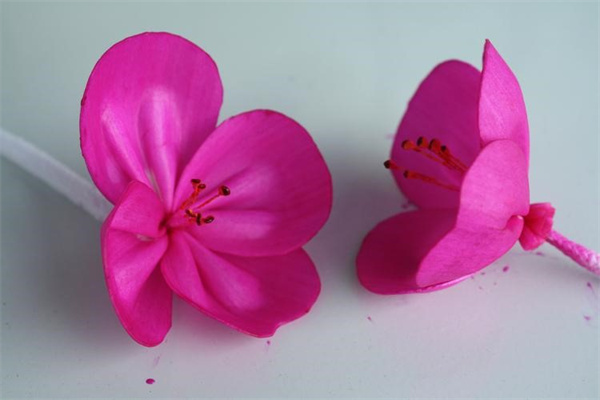 怎么制作纸兰花图解 手工制作兰花的方法