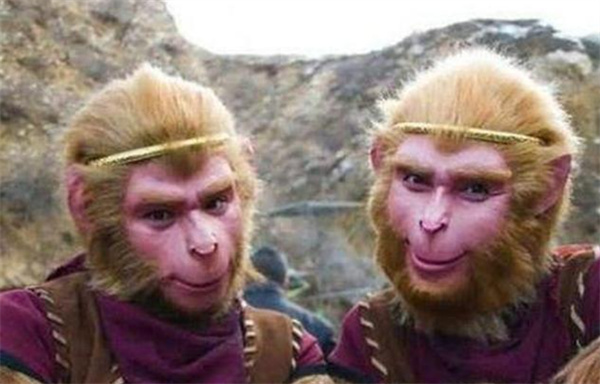 “猴王”更替后 新猴王会如何对待老猴王的孩子 为什么