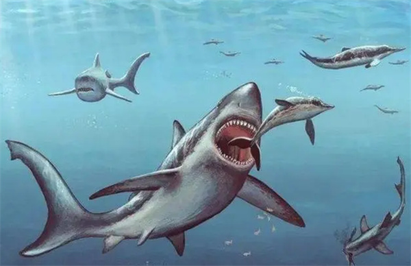 邓氏鱼能打过巨齿鲨吗 为什么