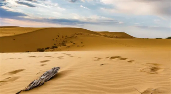 在沙漠中迷路直到饿死也走不出去 是真的吗 为什么