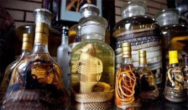 毒蛇泡在酒里 它身上的寄生虫能被酒杀死吗 为什么