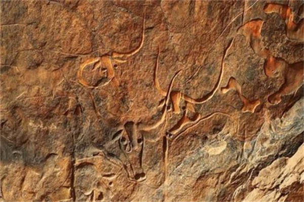 撒哈拉沙漠腹地长达数公里的岩画真的是外星人留下的吗 为什么