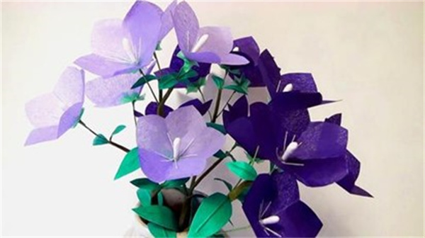 怎么做美丽纸花的方法 小学生手工制作纸花