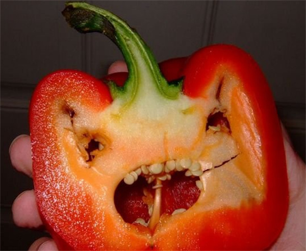 怎么做可爱的小怪物 切开菜椒就能发现它们