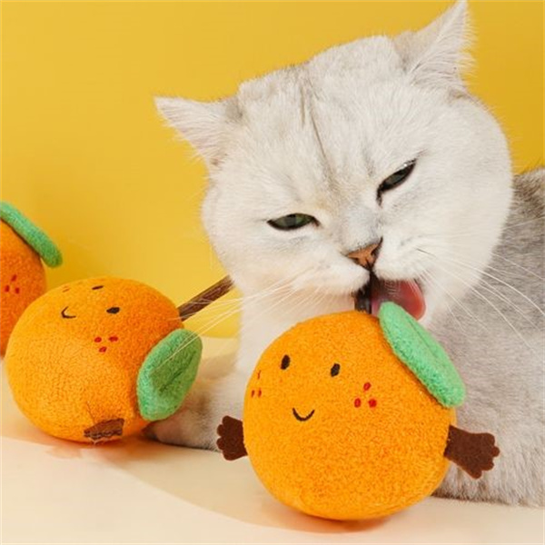 猫咪可以吃橘子吗