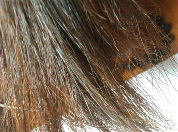 泡泡染发剂和染发膏的区别 头发染色褪色的妙招