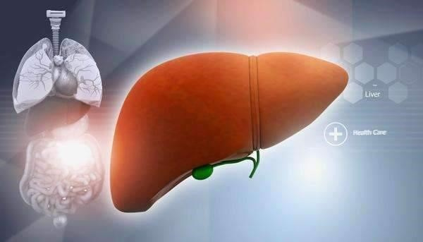 脂肪肝有遗传性吗 脂肪肝吃什么食物调理