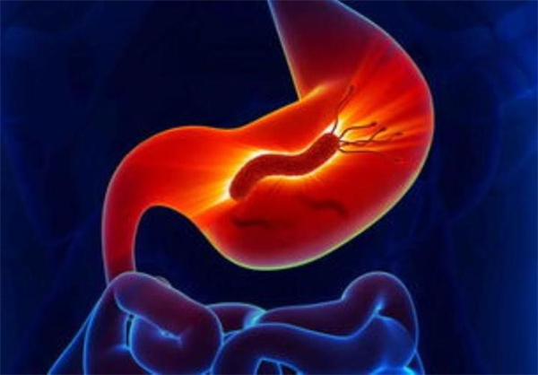慢性胃炎会导致消瘦吗 慢性胃炎会引起贫血吗