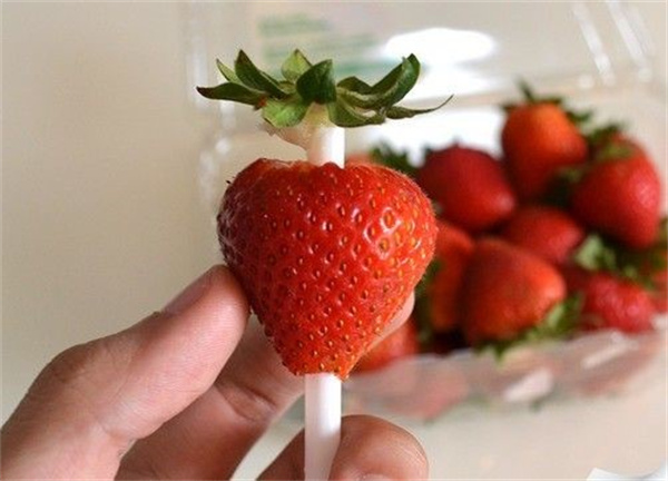 怎么做草莓去蒂器 吸管手工制作草莓去蒂器
