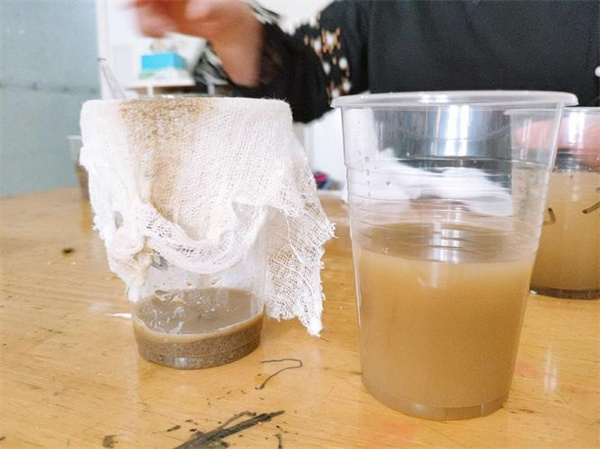 怎么把泥水过滤成清水 过滤泥水的科学小实验