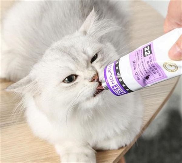 猫吃化毛膏有什么作用 什么时候应该喂？